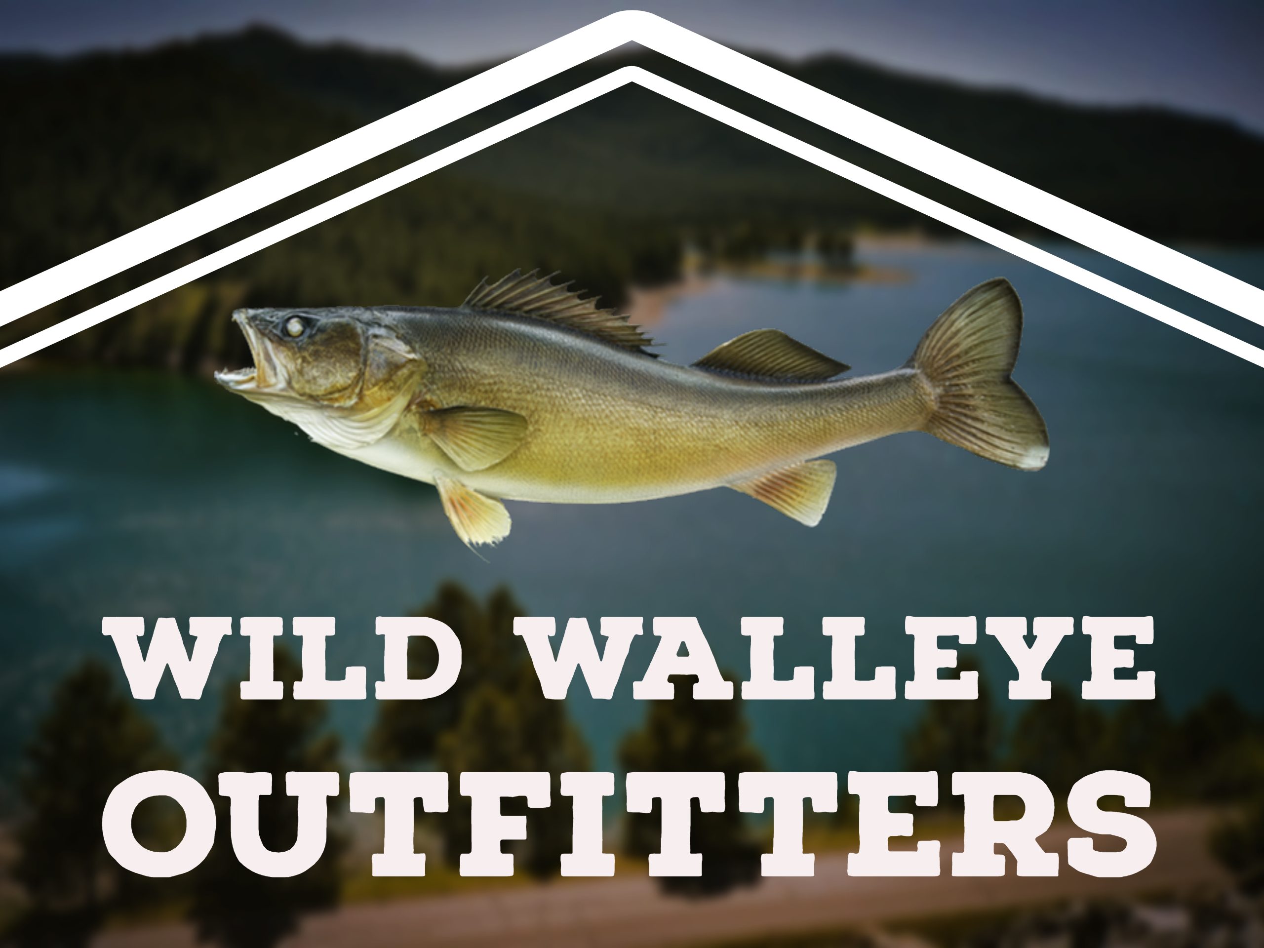 Wild Walleye Outfitters